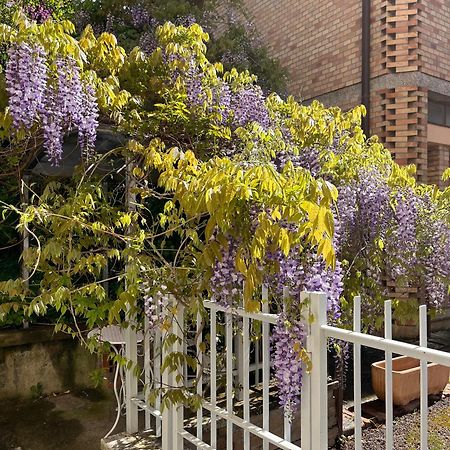 Il Glicine - Monolocale A Due Passi Dal Centro Villa Urbino Eksteriør bilde